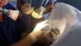 İstanbul’da Klinik Skandalı! Genç Kadınların Yumurtaları ABD'ye Satıldı İddiası