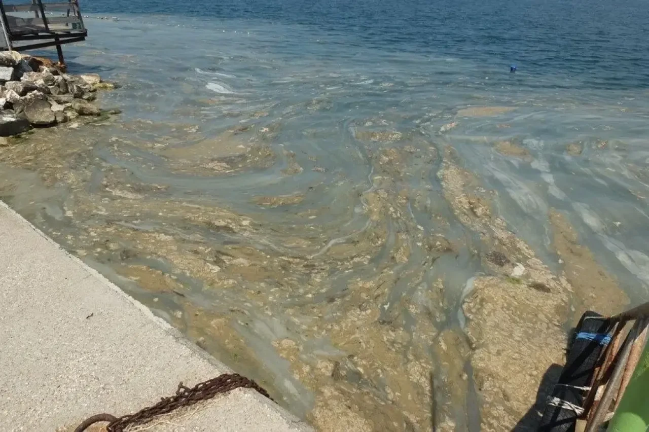 Balıkçılar Karadeniz’e Kaçtı! Marmara’da Müsilaj Yüzünden Av Durdu 2