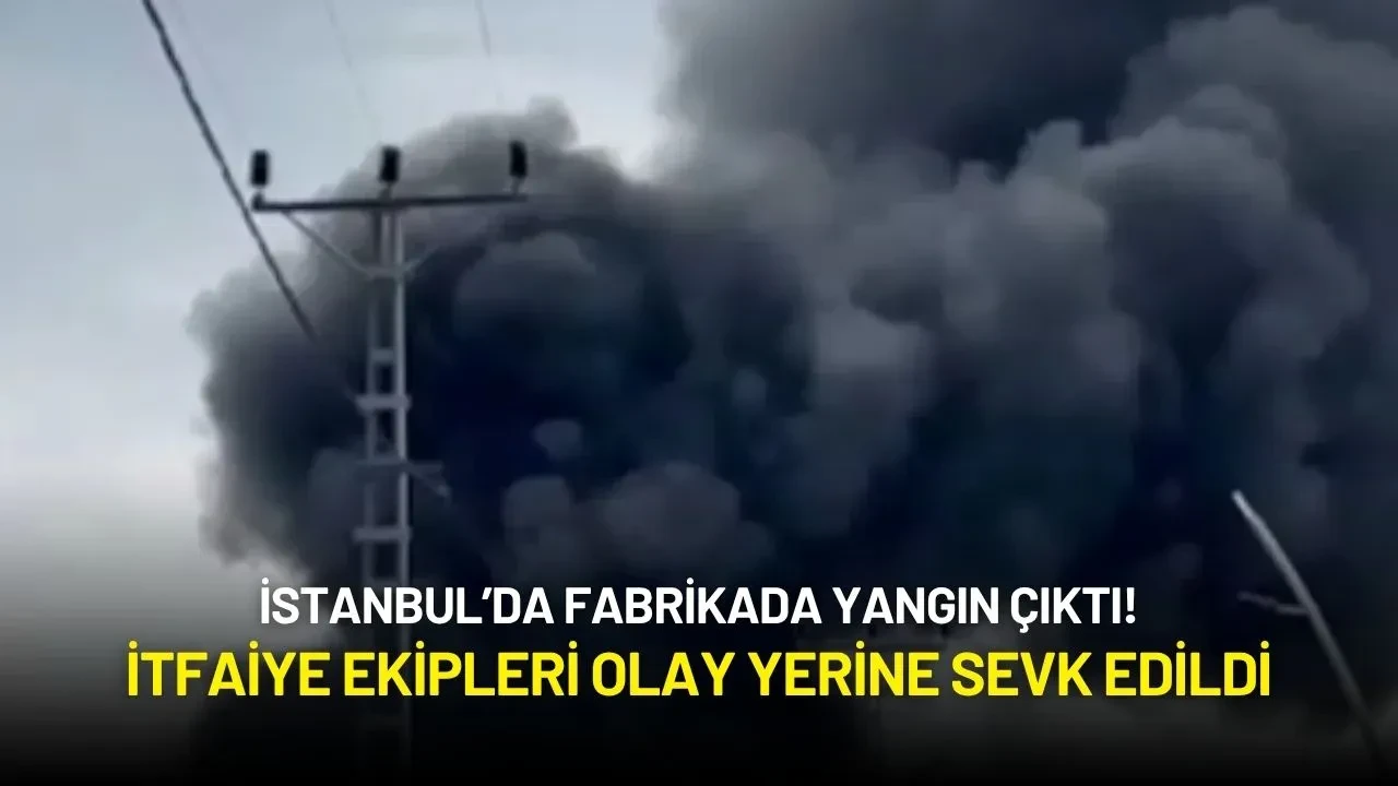 İstanbul’da Fabrikada Yangın Çıktı! İtfaiye Ekipleri Olay Yerine Sevk Edildi
