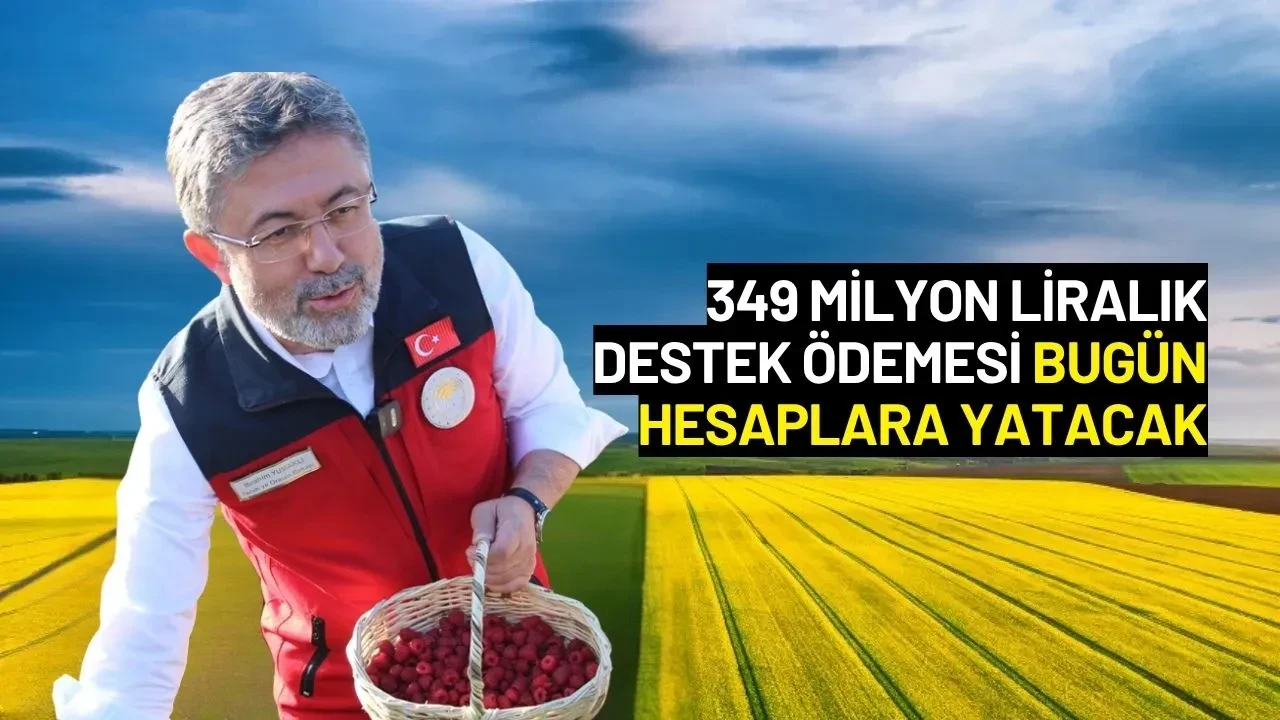 Bakan Yumaklı Açıkladı: 349 Milyon Liralık Destek Ödemesi Bugün Hesaplara Yatacak