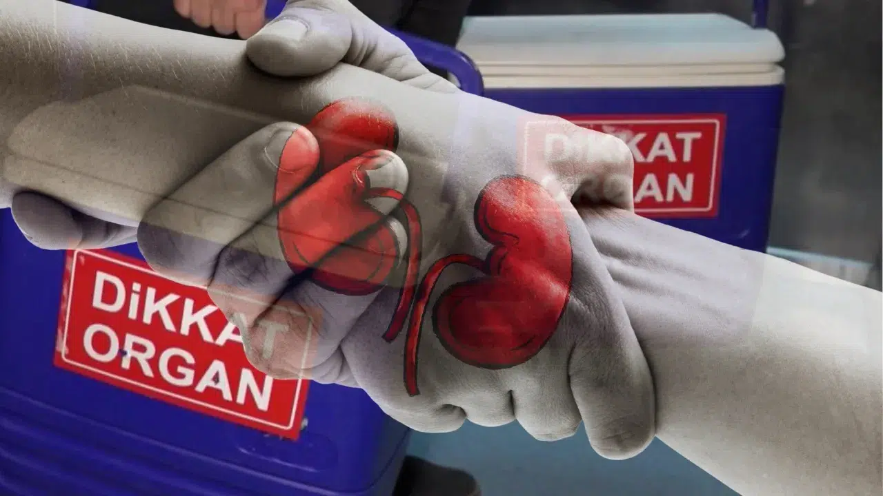 Merkezi Organ Bağışı Verileri Açıklandı: "O" İl Organ Bağışında Birinci Oldu!
