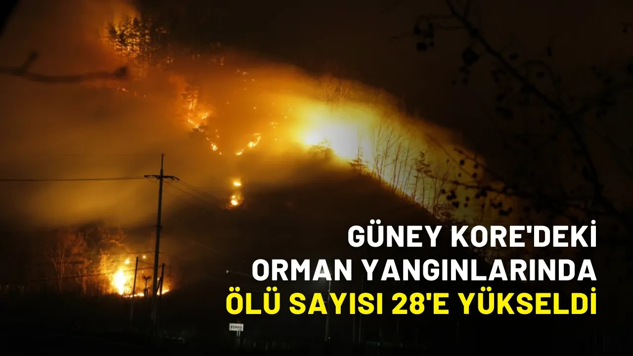 Güney Kore'deki orman yangınlarında ölü sayısı 28'e yükseldi