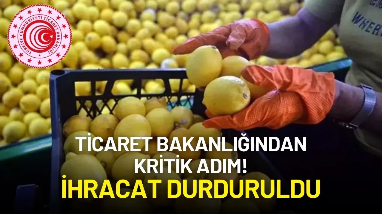 Ticaret Bakanlığından Kritik Adım! İhracat Durduruldu