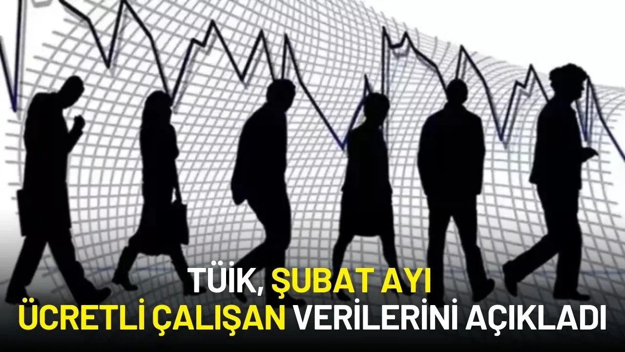 TÜİK, 2025 Şubat Ayı Ücretli Çalışan Verilerini Açıkladı