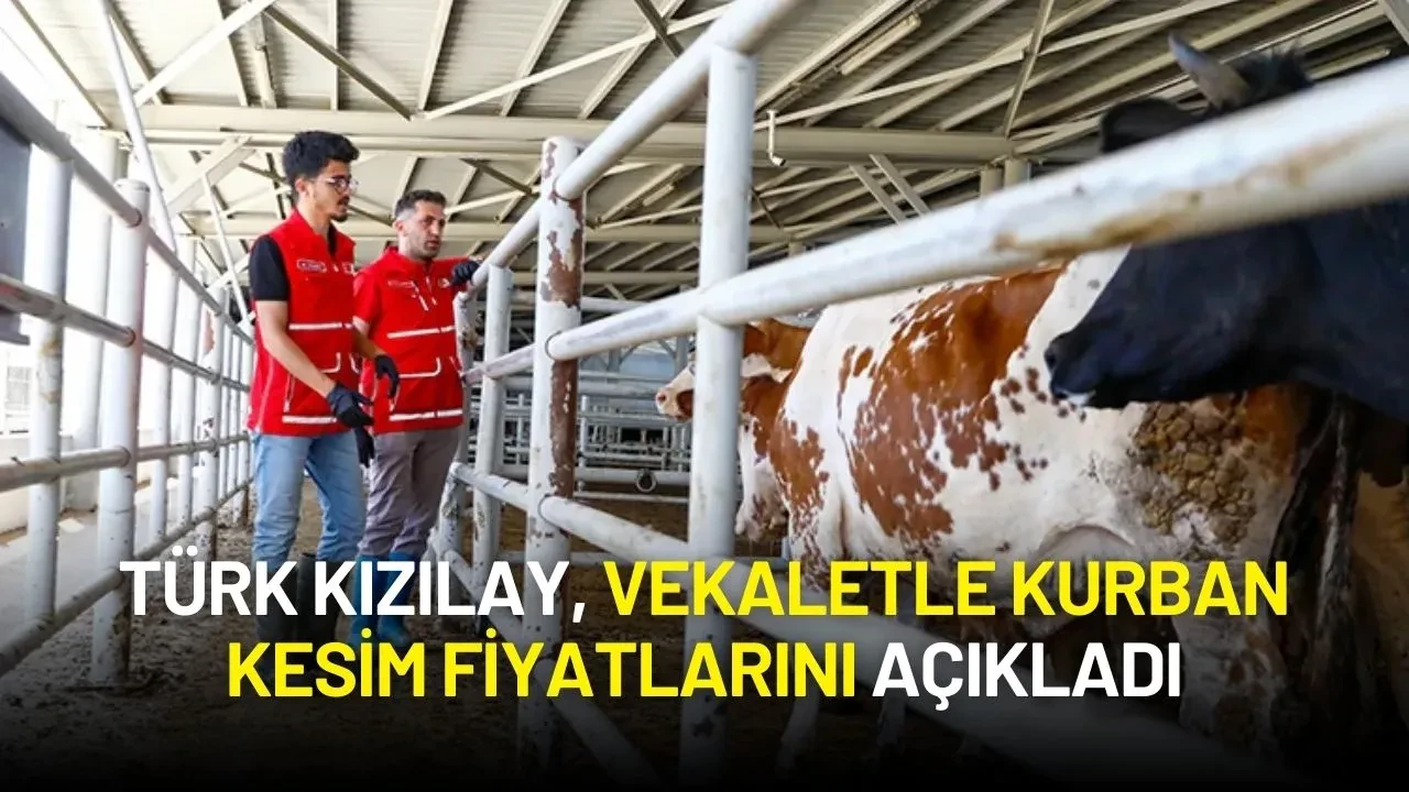 Türk Kızılay, 2025 Vekaletle Kurban Kesim Fiyatlarını Açıkladı
