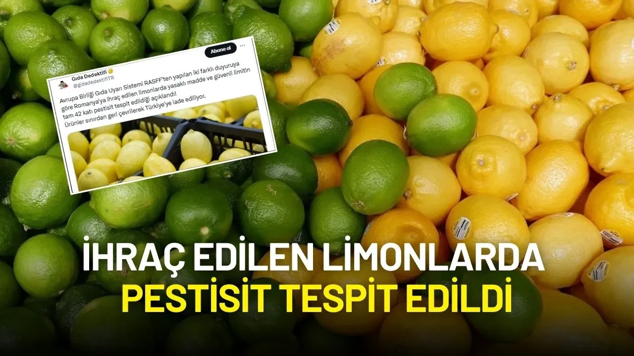 Türkiye’den Romanya’ya İhraç Edilen Limonlarda Pestisit Tespit Edildi: Ürünler Geri Çevrildi