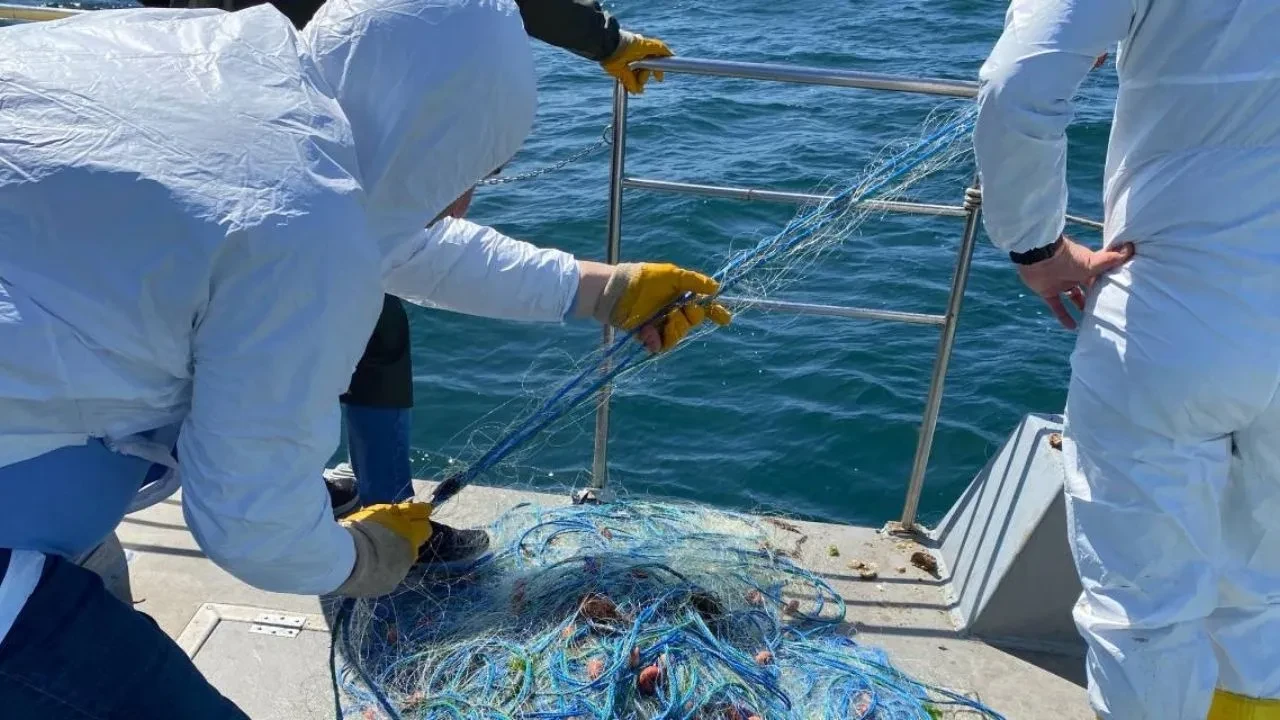 Ordu'da Yasak Ağa Büyük Müdahale: Kalkan Balıkları Kurtarıldı, Ağlara El Konuldu