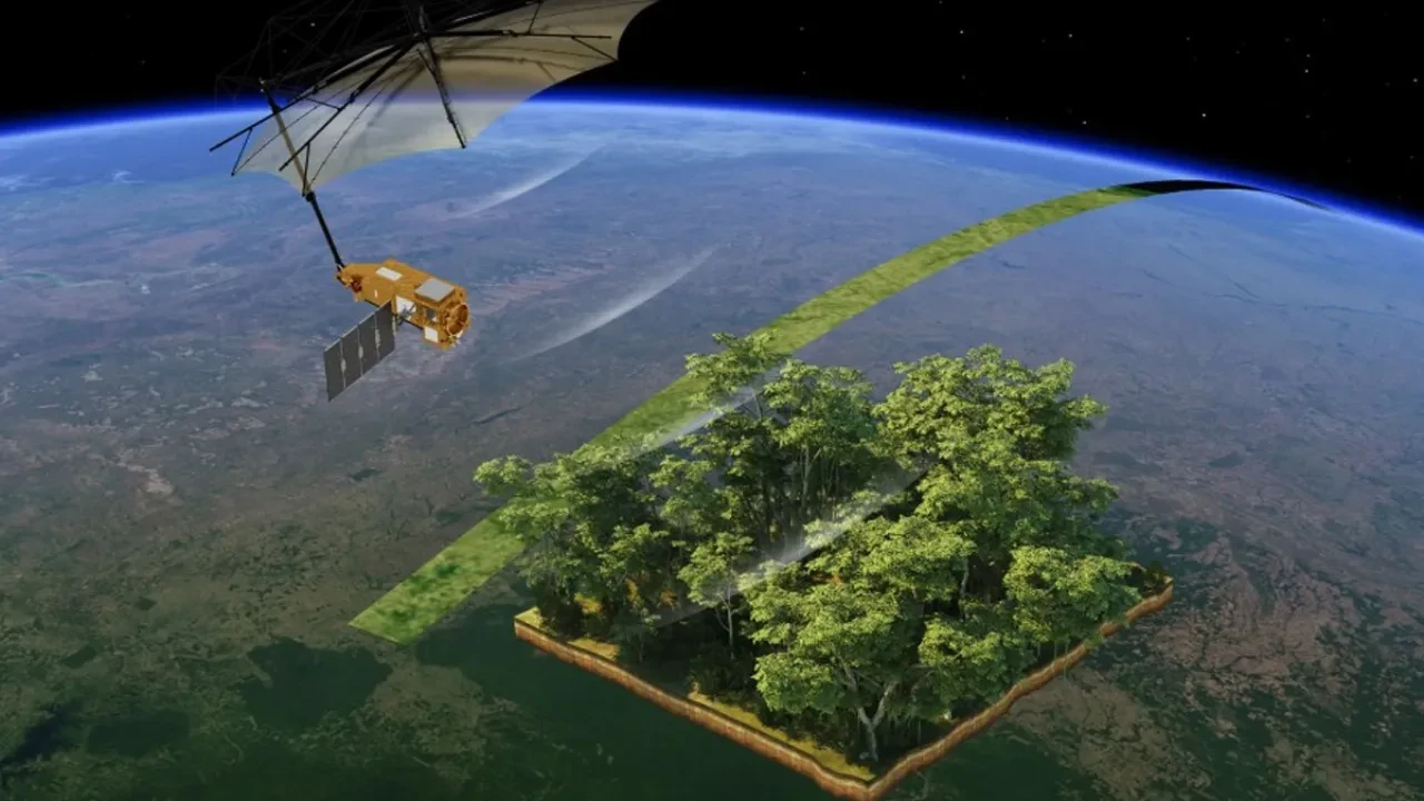 Ormanların MR Taraması Yapılacak! ESA, Biomass Uydusunu Uzaya Gönderdi