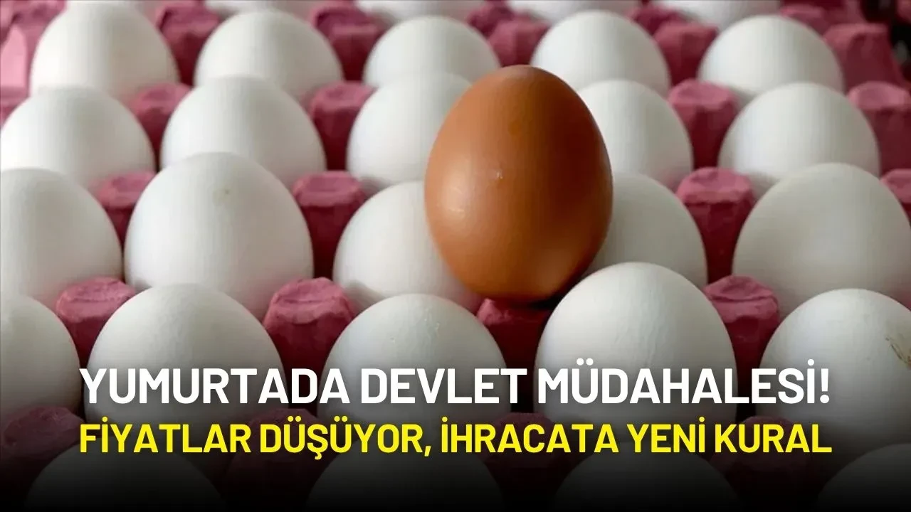 Yumurtada Devlet Müdahalesi! Fiyatlar Düşüyor, İhracata Yeni Kural