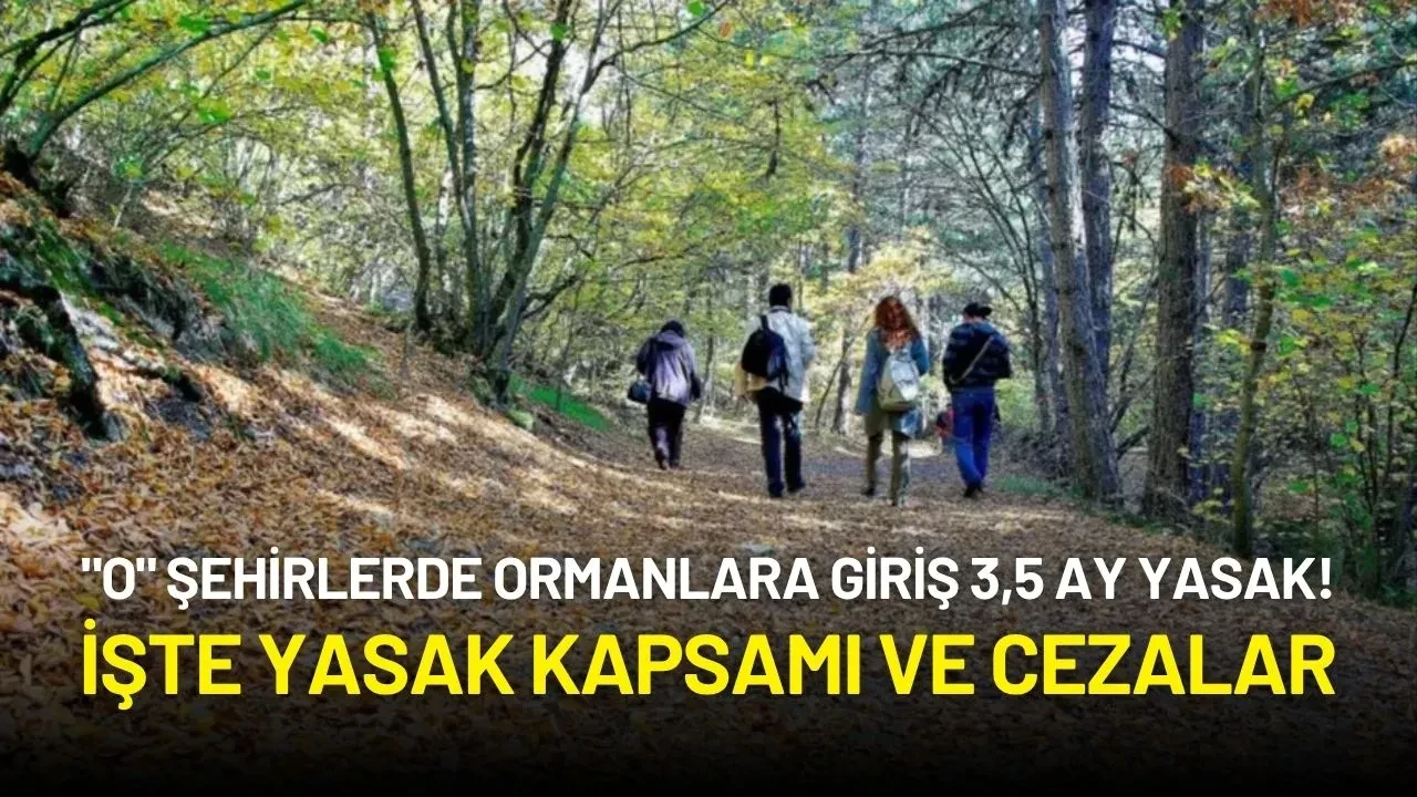 "O" Şehirlerde Ormanlara Giriş 3,5 Ay Yasak! İşte Yasak Kapsamı ve Cezalar