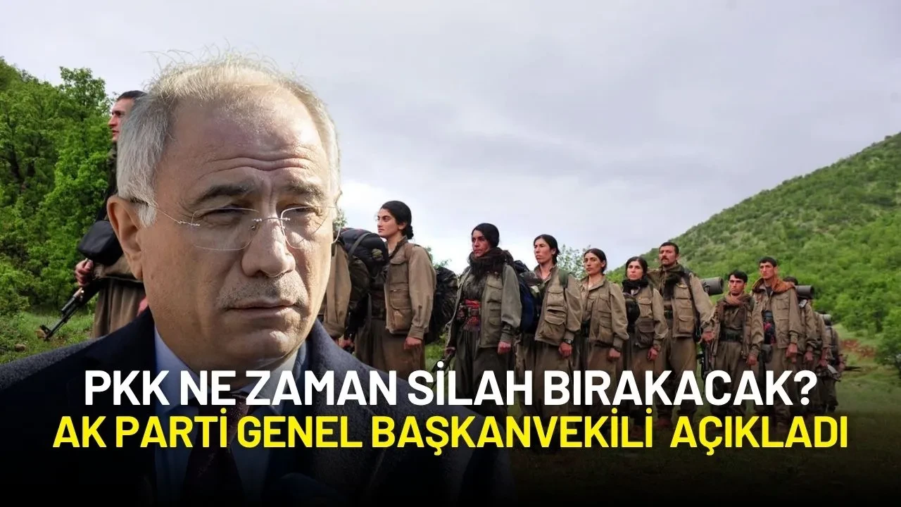 PKK Ne Zaman Silah Bırakacak? Ak Parti Genel Başkanvekili Efkan Ala Açıkladı