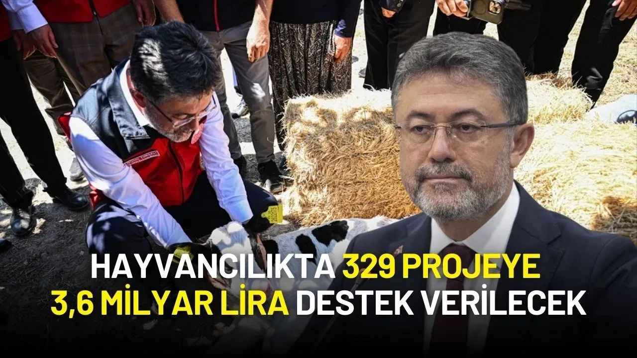 Hayvancılığa Hibe Desteği! 329 Projeye 3,6 Milyar Lira Destek Verilecek