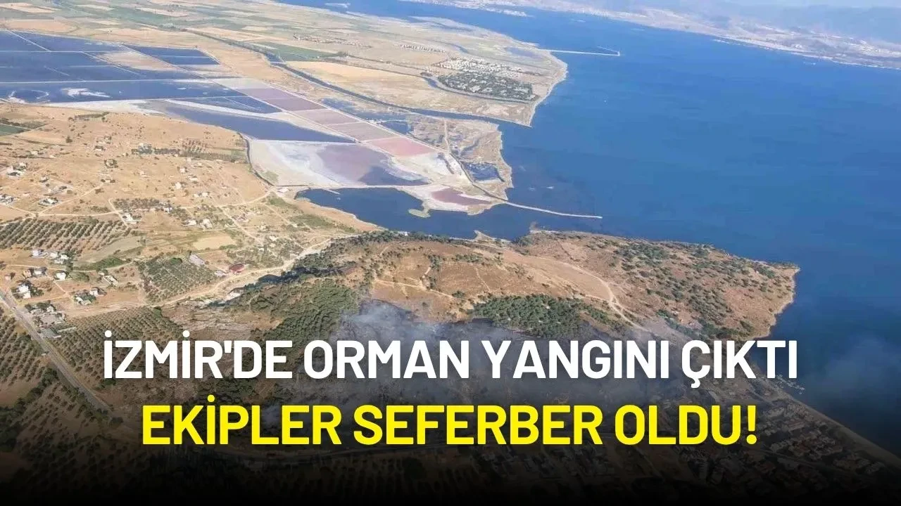 İzmir'de Orman Yangını: Havadan ve Karadan Yoğun Müdahale Sürüyor