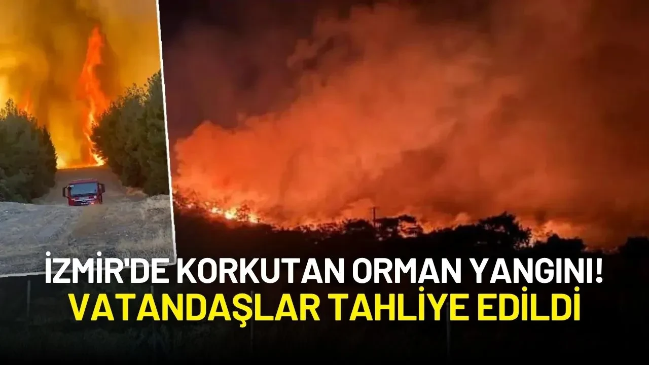 İzmir'de Korkutan Orman Yangını! Vatandaşlar Tahliye Edildi