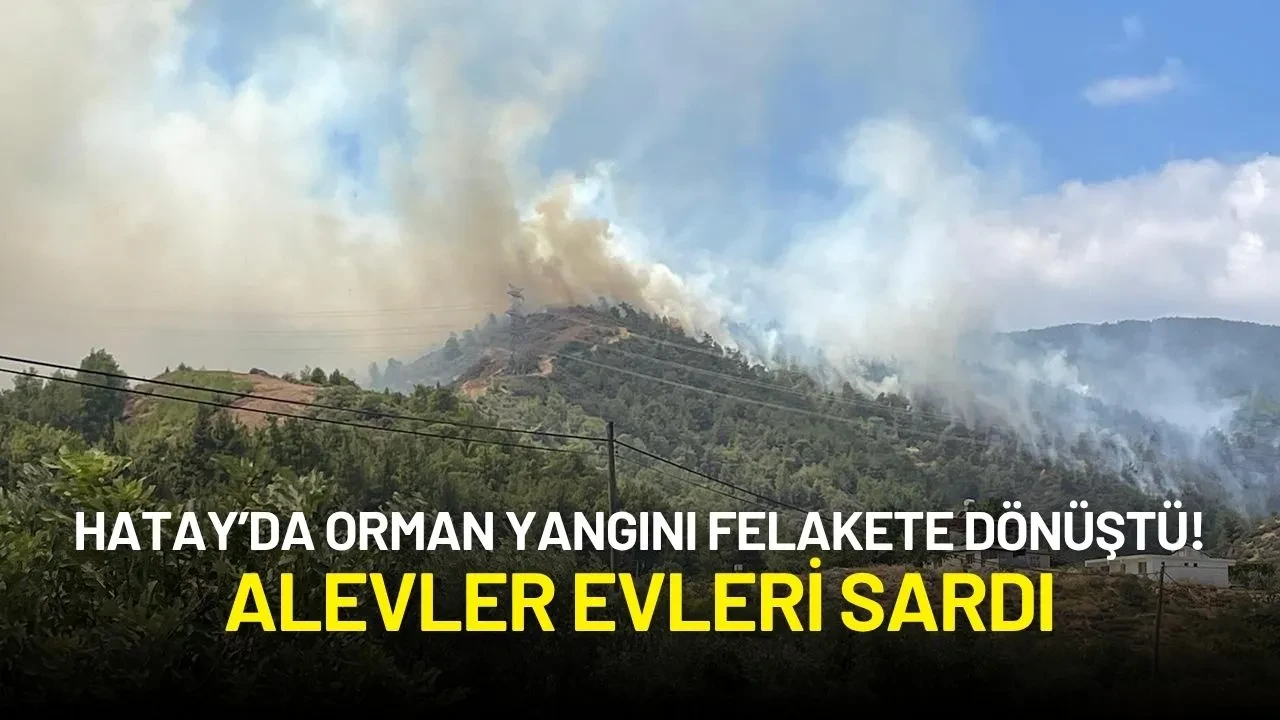 Hatay’da Orman Yangını Felakete Dönüştü! Alevler Evleri Sardı