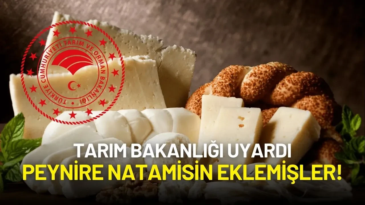 Tarım Bakanlığı Uyardı: Peynire Natamisin Eklemişler!