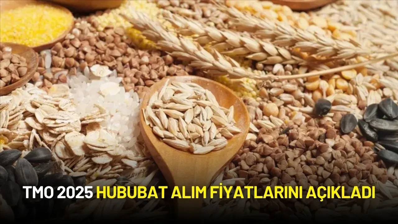 TMO 2025 Hububat Alım Fiyatlarını Açıkladı