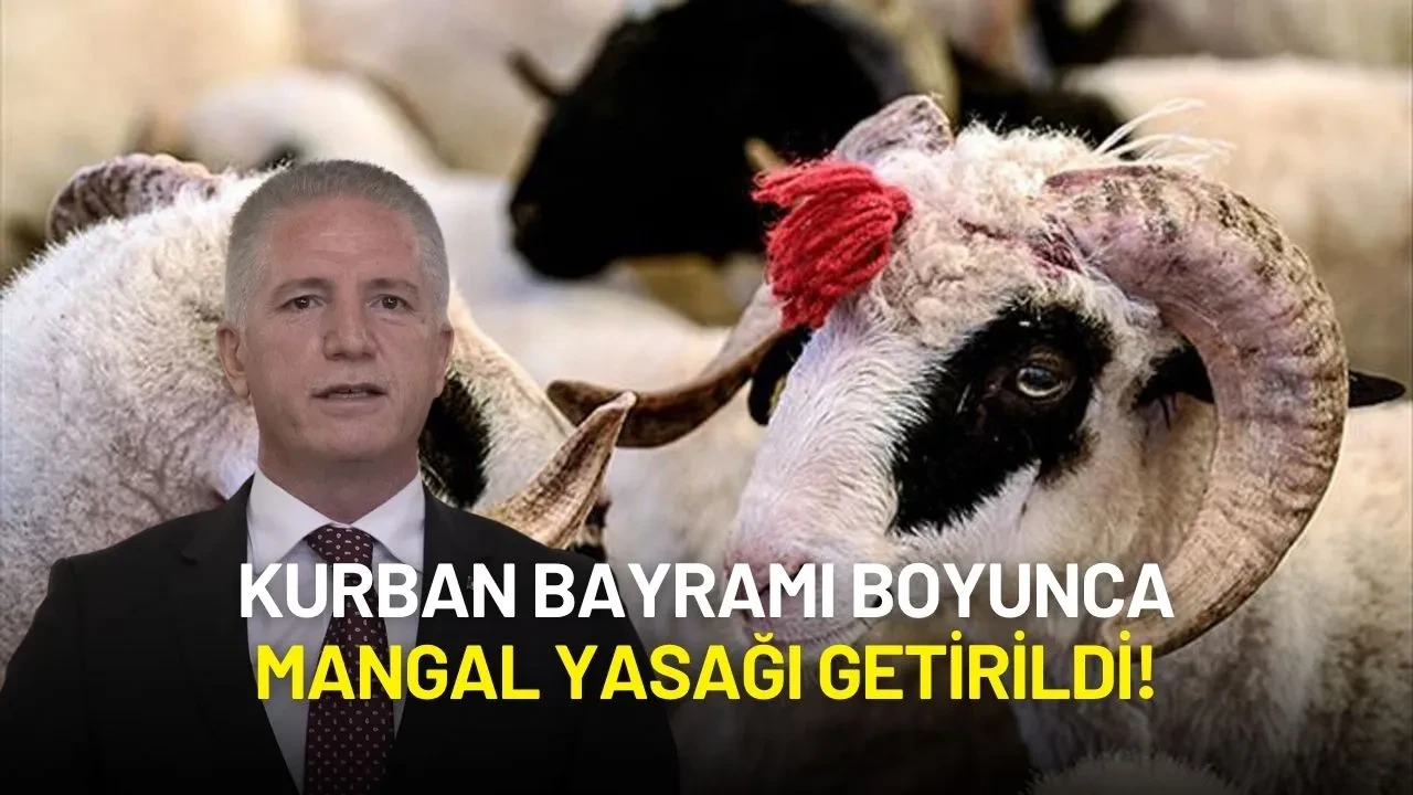 İstanbul’da Kurban Bayramı Boyunca Mangal Yasağı Getirildi!