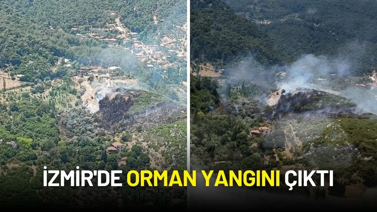 İzmir'de Orman Yangını Çıktı