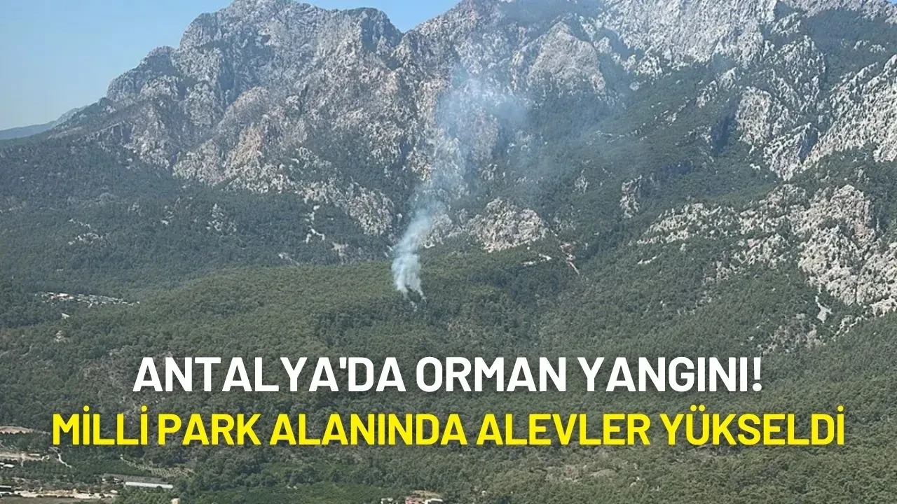 Antalya'da Orman Yangını! Milli Park Alanında Alevler Yükseldi