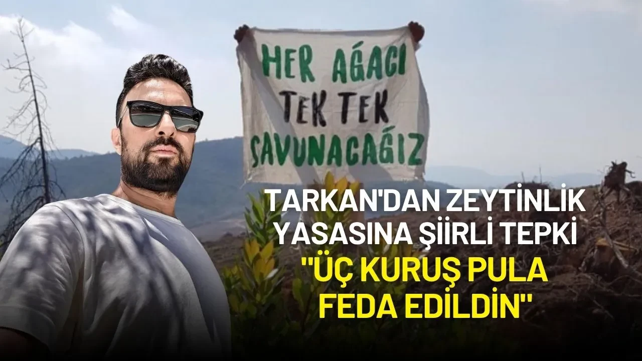 Tarkan'dan Zeytinlik Yasasına Şiirli Tepki: "Üç Kuruş Pula Feda Edildin"