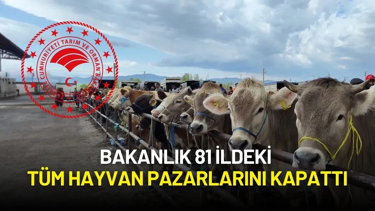 Şap Hastalığı Arttı! Bakanlık 81 İldeki Tüm Hayvan Pazarlarını Kapattı