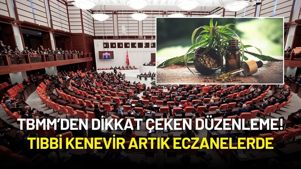 TBMM’den Dikkat Çeken Düzenleme! Tıbbi Kenevir Artık Eczanelerde