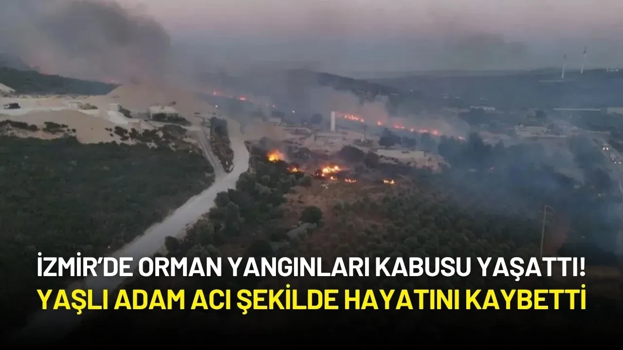 İzmir’de Orman Yangınları Kabusu Sürüyor! Yaşlı Adam Acı Şekilde Hayatını Kaybetti