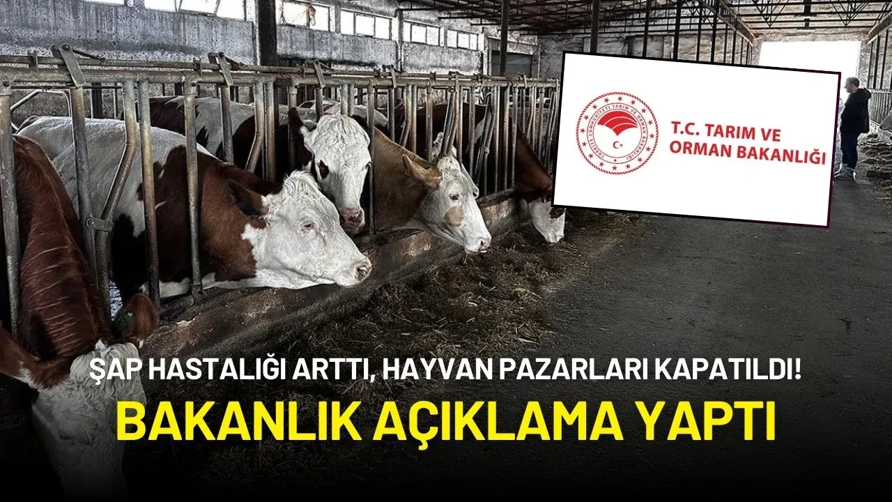 Şap Hastalığı Arttı, Hayvan Pazarları Kapatıldı! Bakanlık Açıklama Yaptı