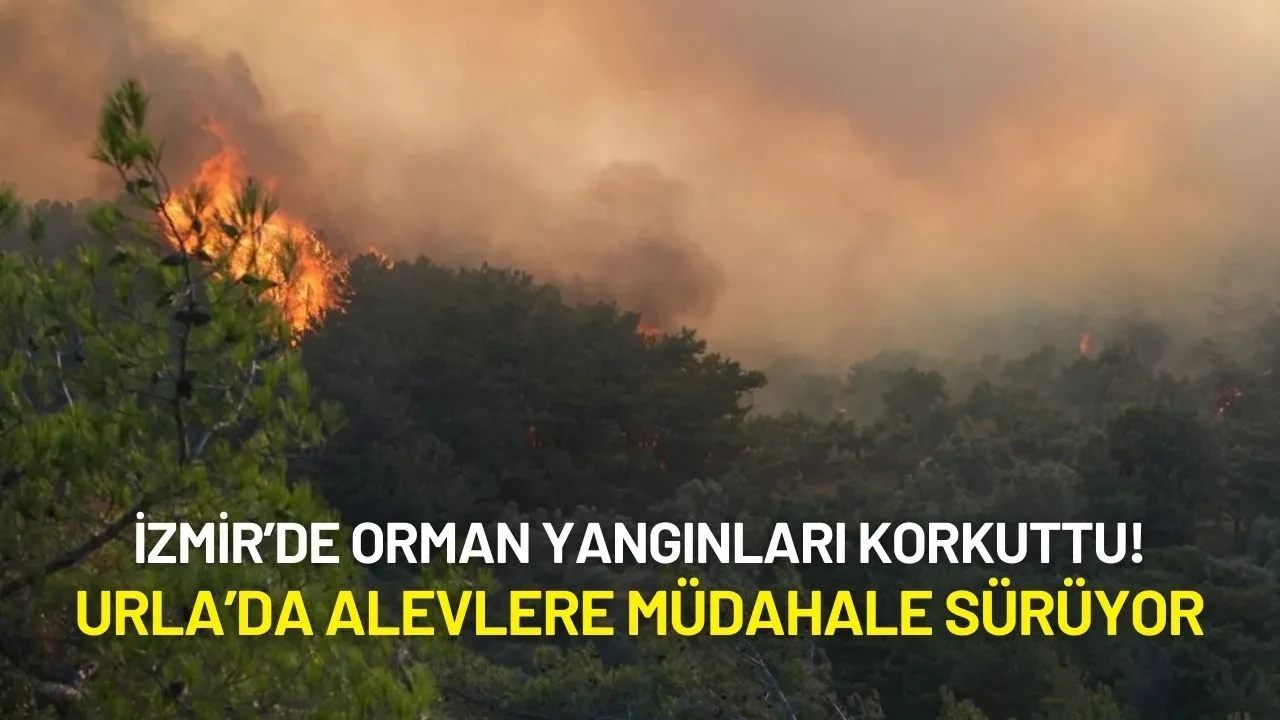 İzmir’de Orman Yangınları Korkuttu! Urla’da Alevlere Müdahale Sürüyor