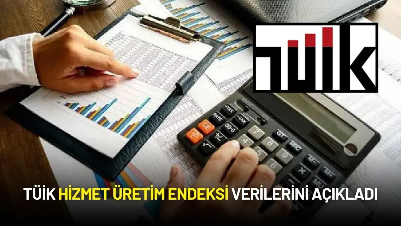 TÜİK Hizmet Üretim Endeksi Verilerini Açıkladı