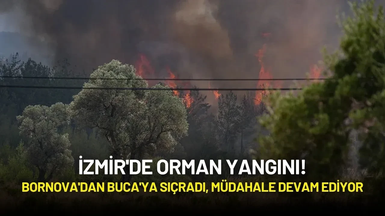 İzmir'de Orman Yangını! Bornova'dan Buca'ya Sıçradı, Müdahale Devam Ediyor