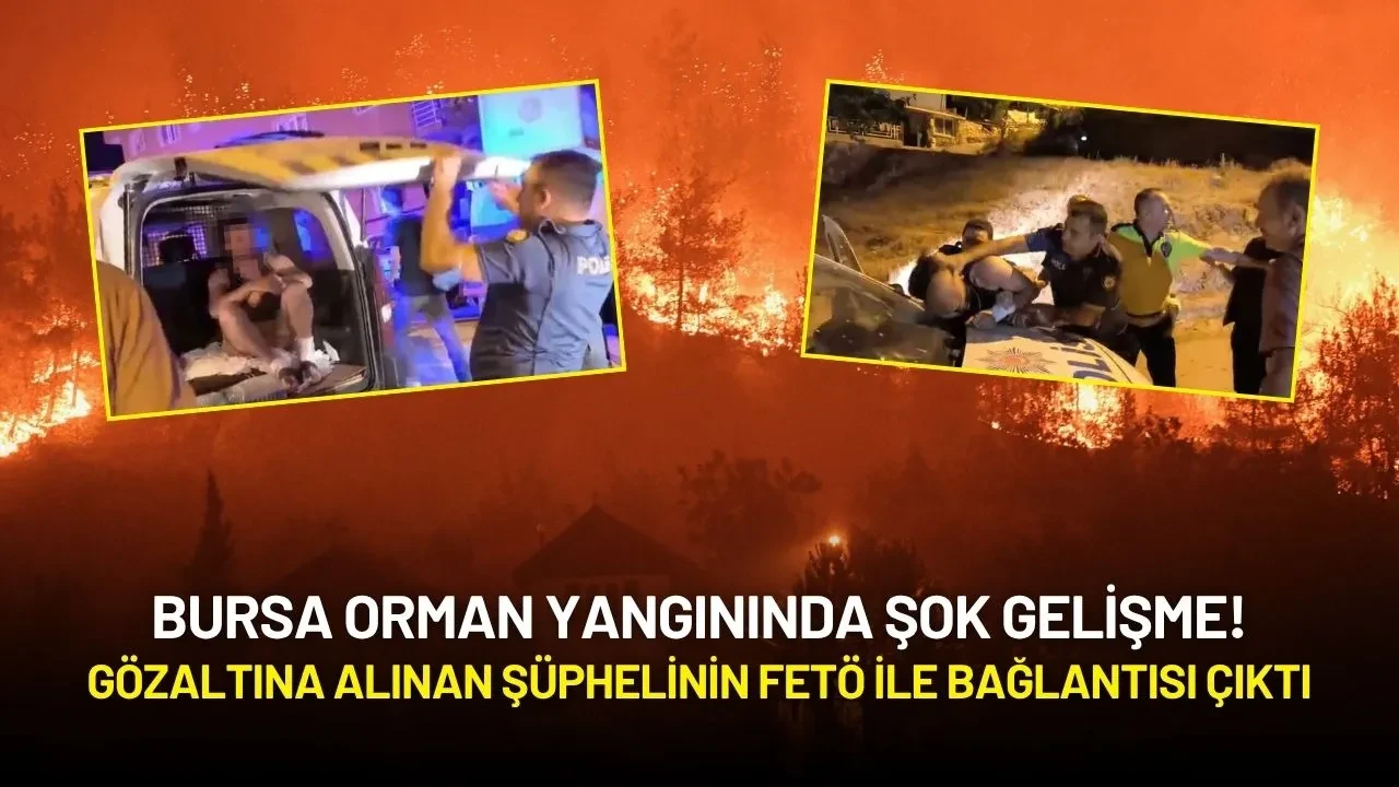 Bursa Orman Yangınında Şok Gelişme! Gözaltına Alınan Şüphelinin FETÖ ile Bağlantısı Çıktı