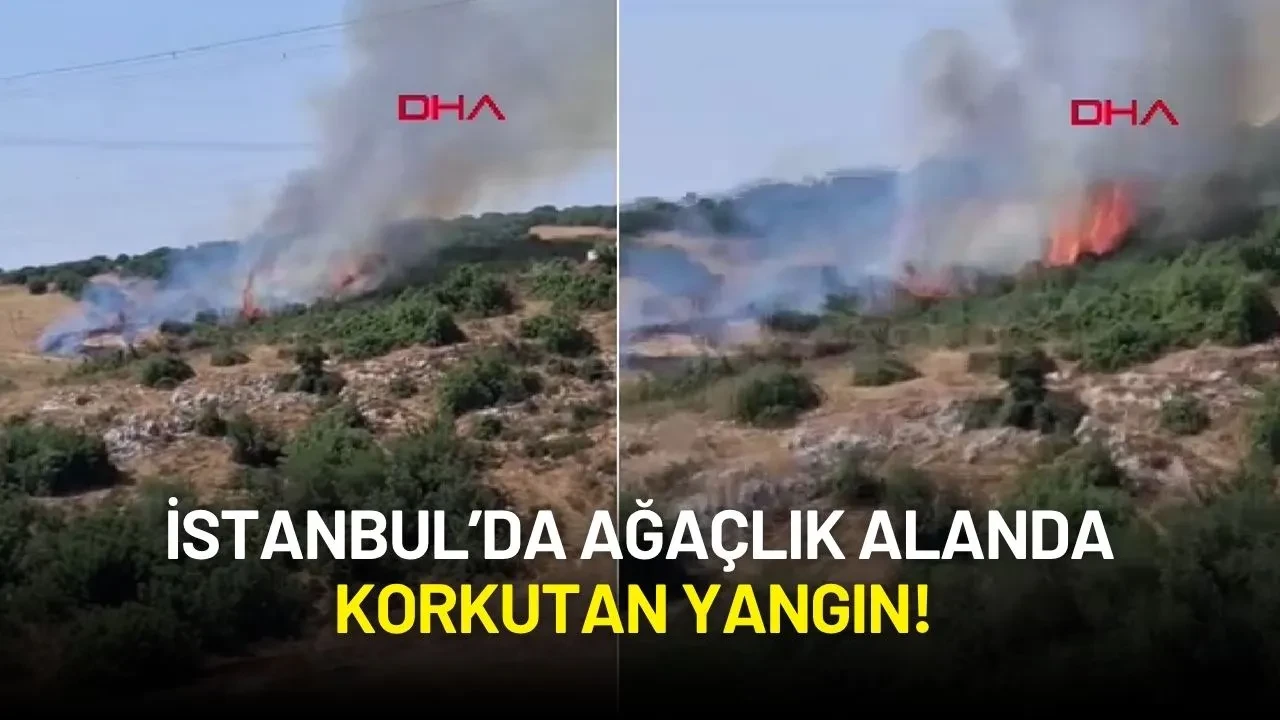 İstanbul’da Ağaçlık Alanda Korkutan Yangın!