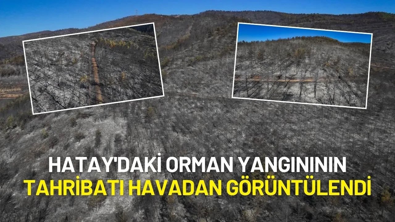 Hatay'daki Orman Yangınının Tahribatı Havadan Görüntülendi