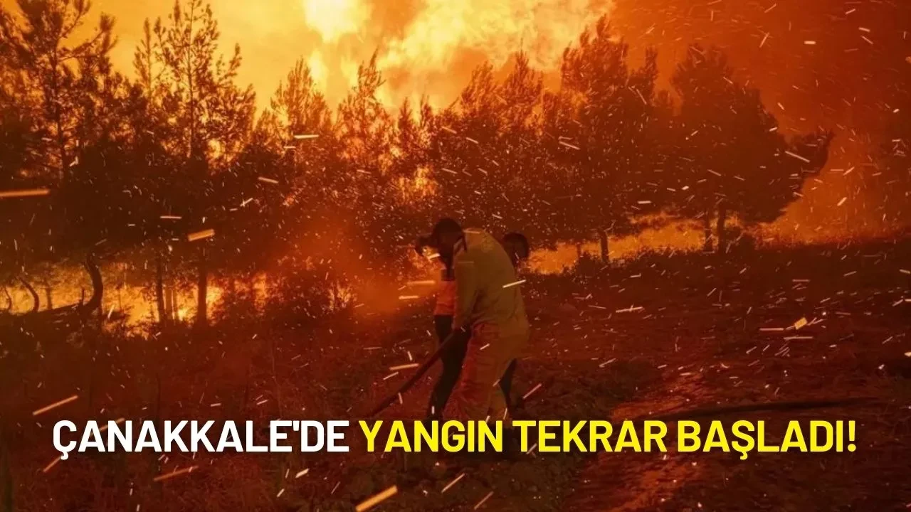 Çanakkale'de Yangın Tekrar Başladı: Alevler Hızla Köylere İlerliyor!