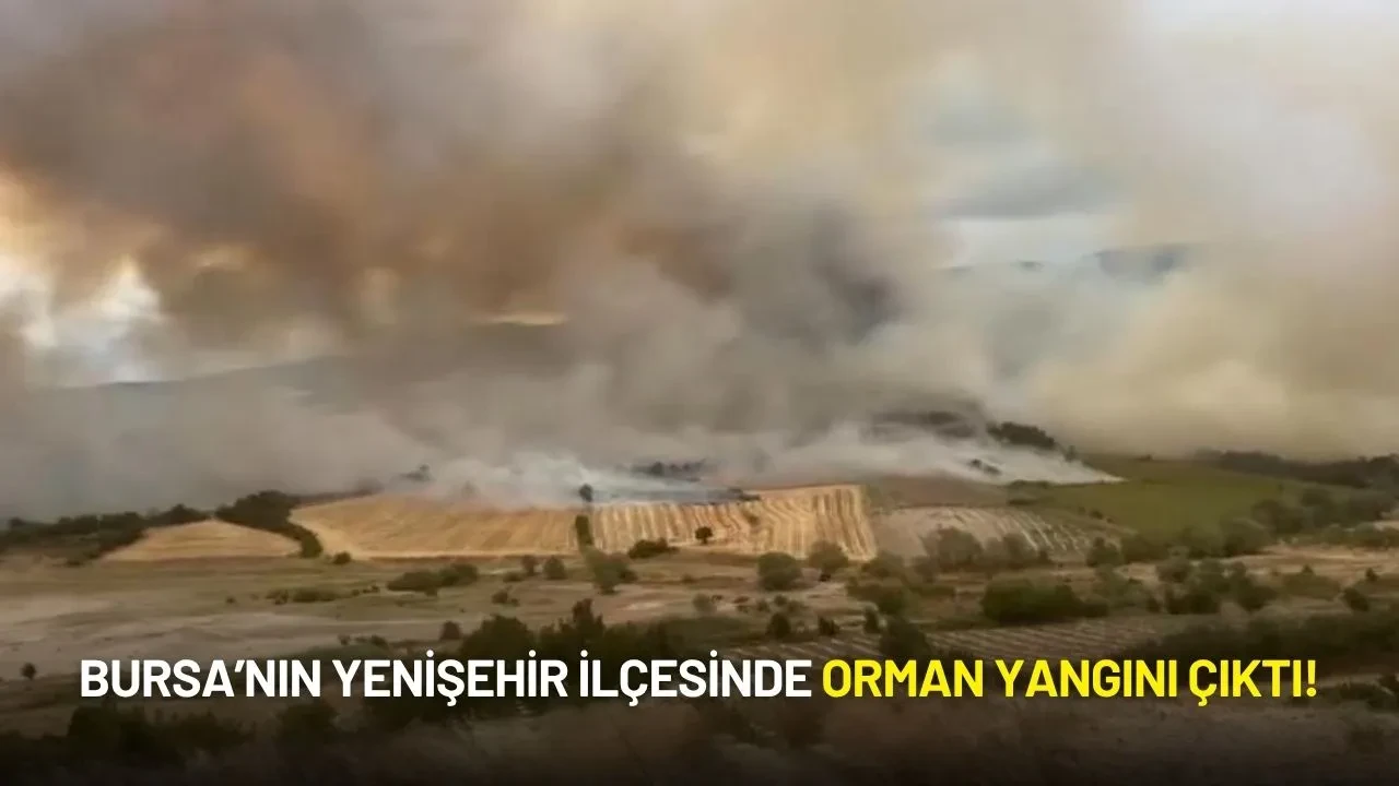 Bursa’nın Yenişehir İlçesinde Orman Yangını Çıktı!