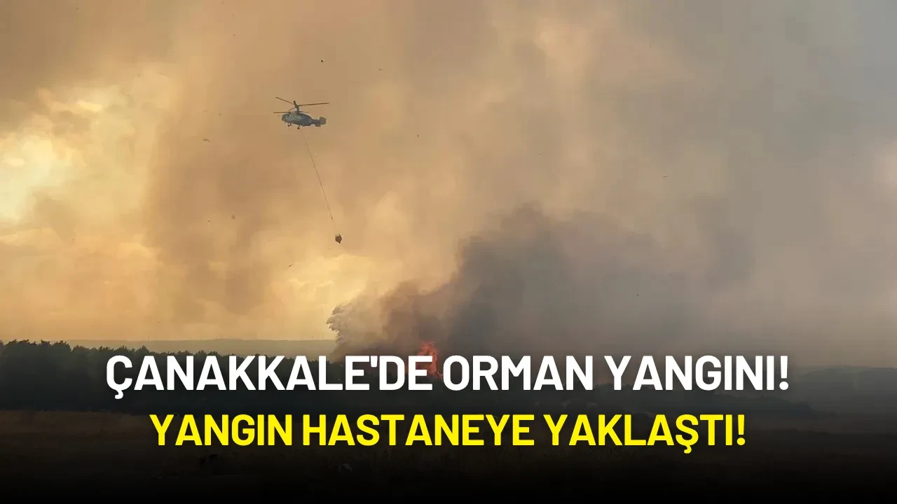 Çanakkale'de Orman Yangını: Yangın Hastaneye Yaklaştı!