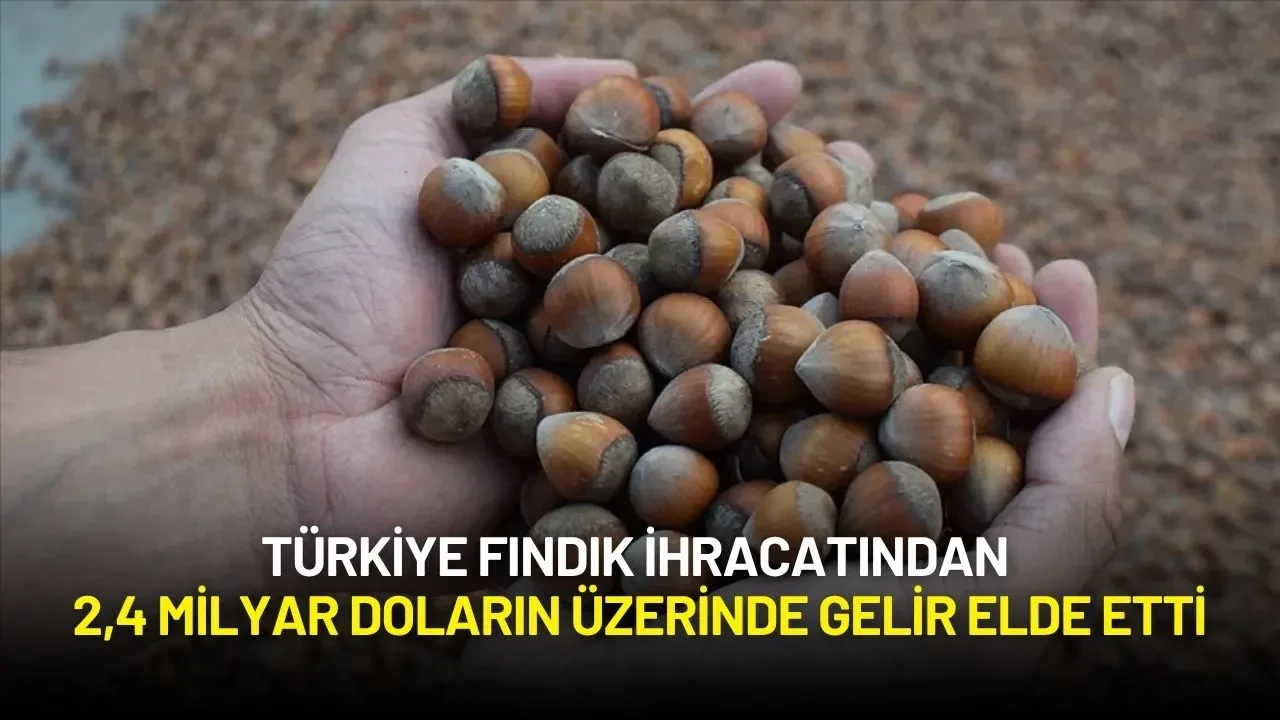 Türkiye Fındık İhracatından 2,4 Milyar Doların Üzerinde Gelir Elde Etti