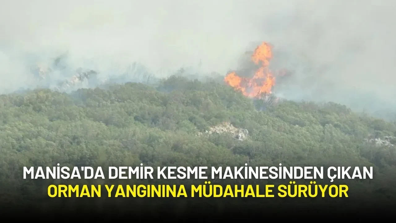 Manisa'da Demir Kesme Makinesinden Çıkan Orman Yangınına Müdahale Sürüyor