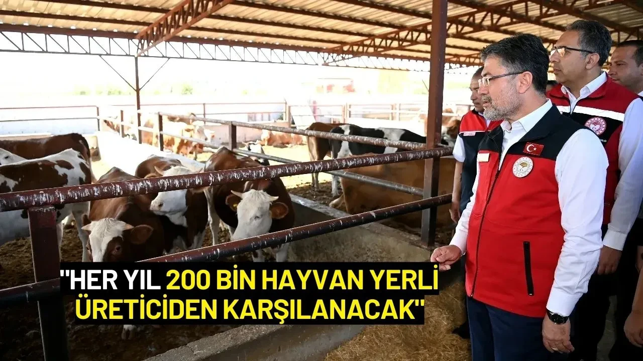 Bakan Yumaklı: "Her Yıl 200 Bin Hayvan Yerli Üreticiden Karşılanacak"
