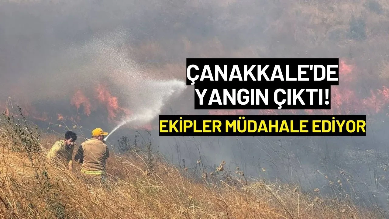 Çanakkale'de Yangın Çıktı! Ekipler Müdahale Ediyor
