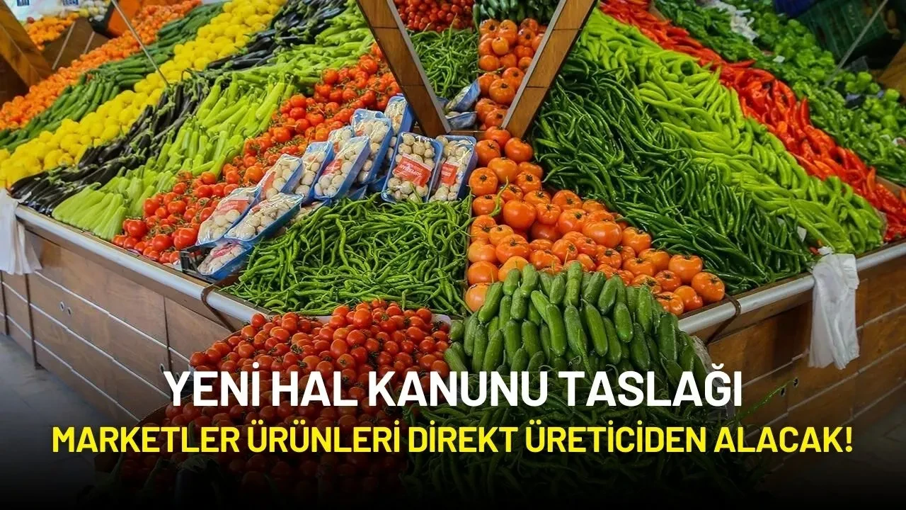 Yeni Hal Kanunu Taslağı: Marketler Ürünleri Direkt Üreticiden Alacak!
