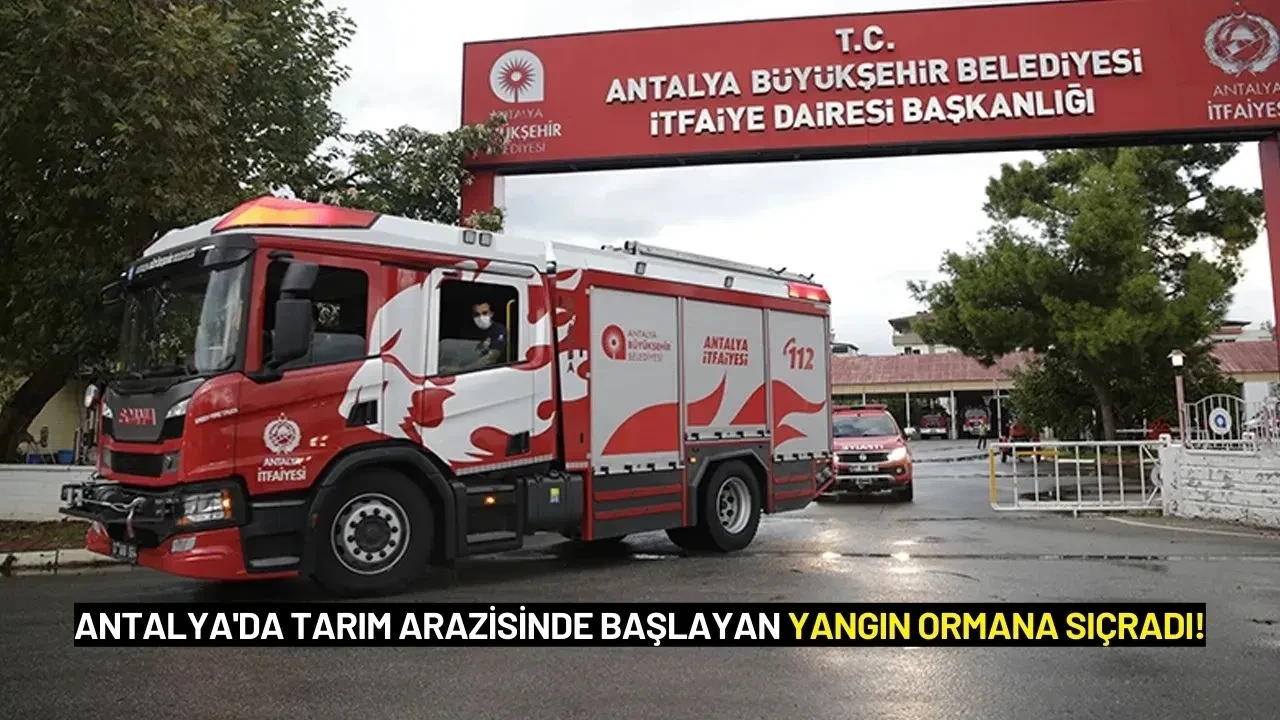 Antalya'da Tarım Arazisinde Başlayan Yangın Ormana Sıçradı!