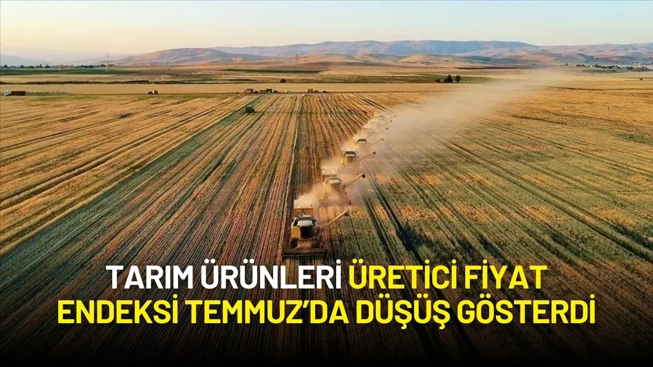 Tarım Ürünleri Üretici Fiyat Endeksi Temmuz’da Düşüş Gösterdi