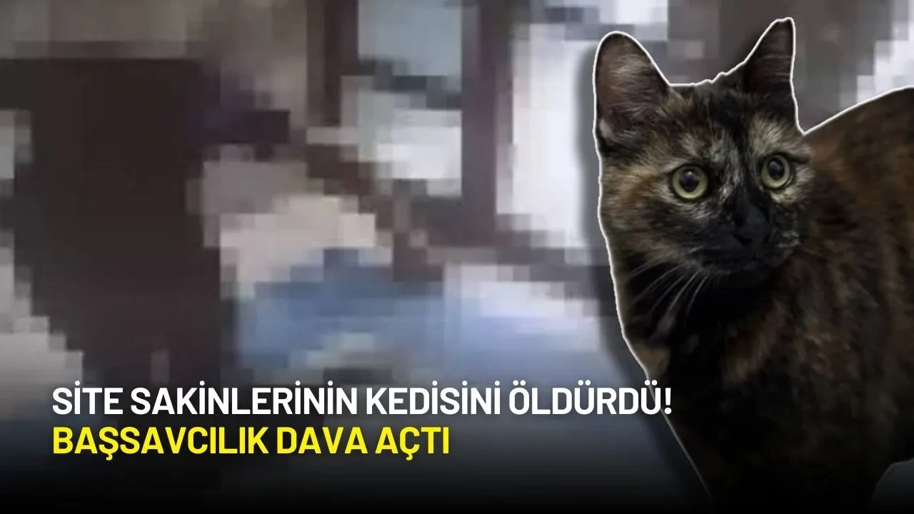 Site Sakinlerinin Kedisini Öldürdü! Başsavcılık Dava Açtı