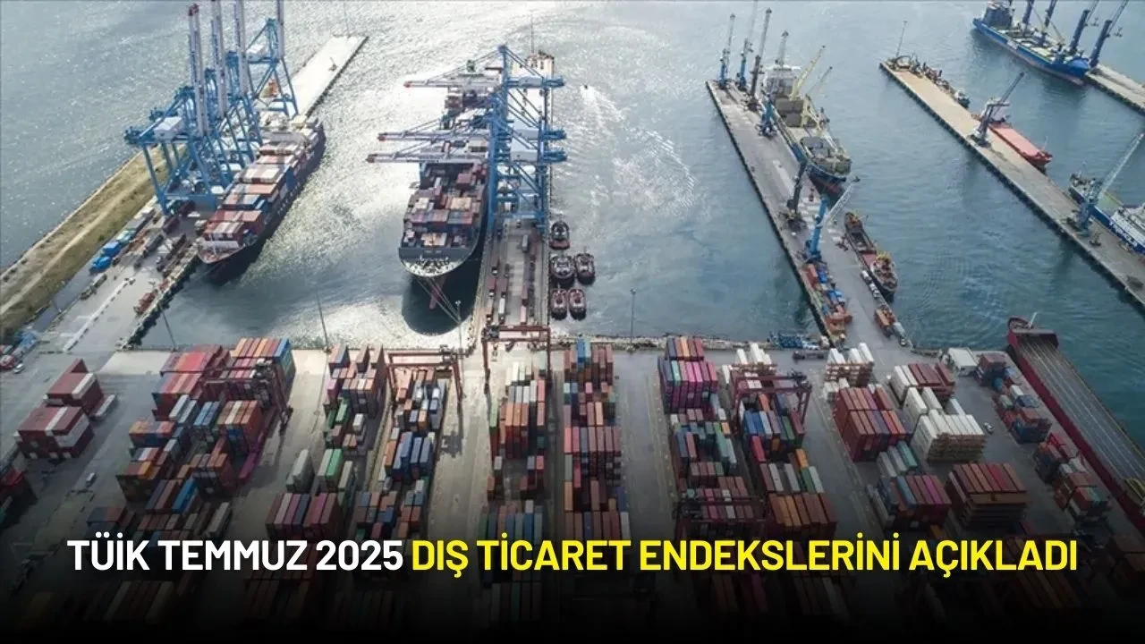 TÜİK Temmuz 2025 Dış Ticaret Endekslerini Açıkladı