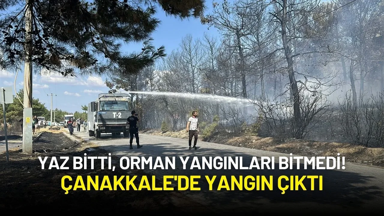 Yaz Bitti, Orman Yangınları Bitmedi! Çanakkale'de Yangın Çıktı
