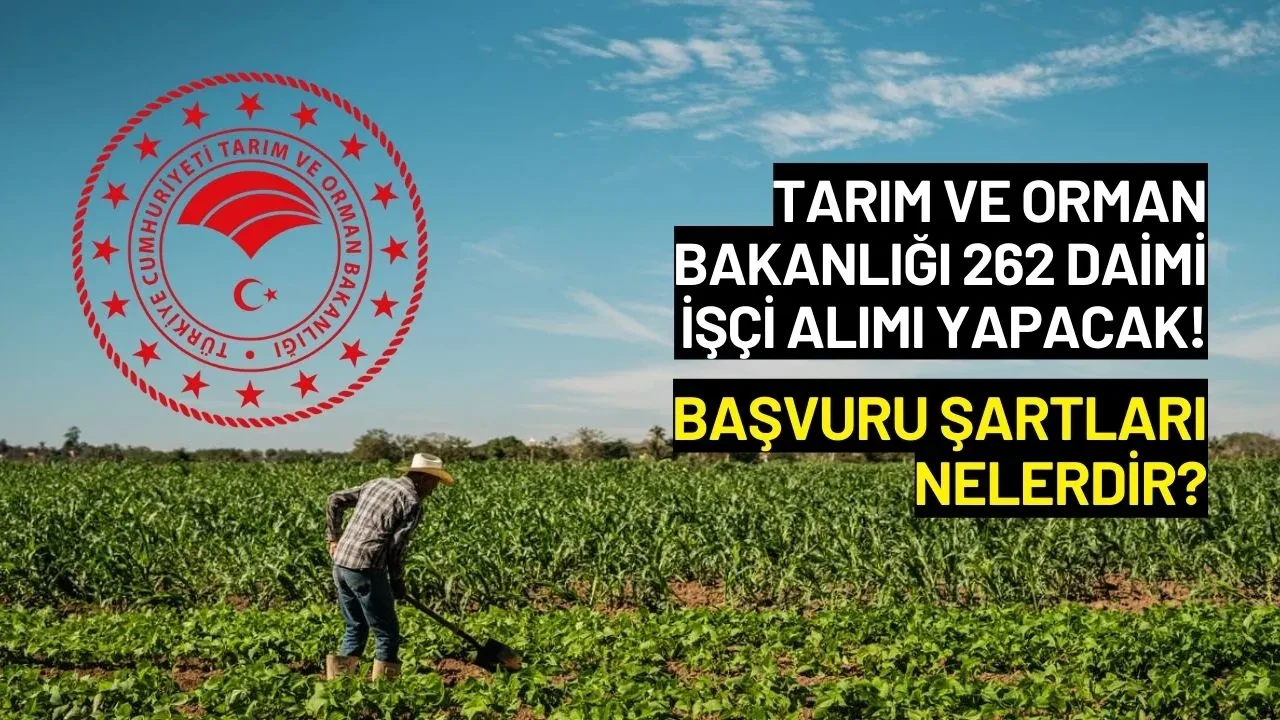 Tarım ve Orman Bakanlığı 262 Daimi İşçi Alımı Yapacak! Başvuru Şartları Nelerdir?