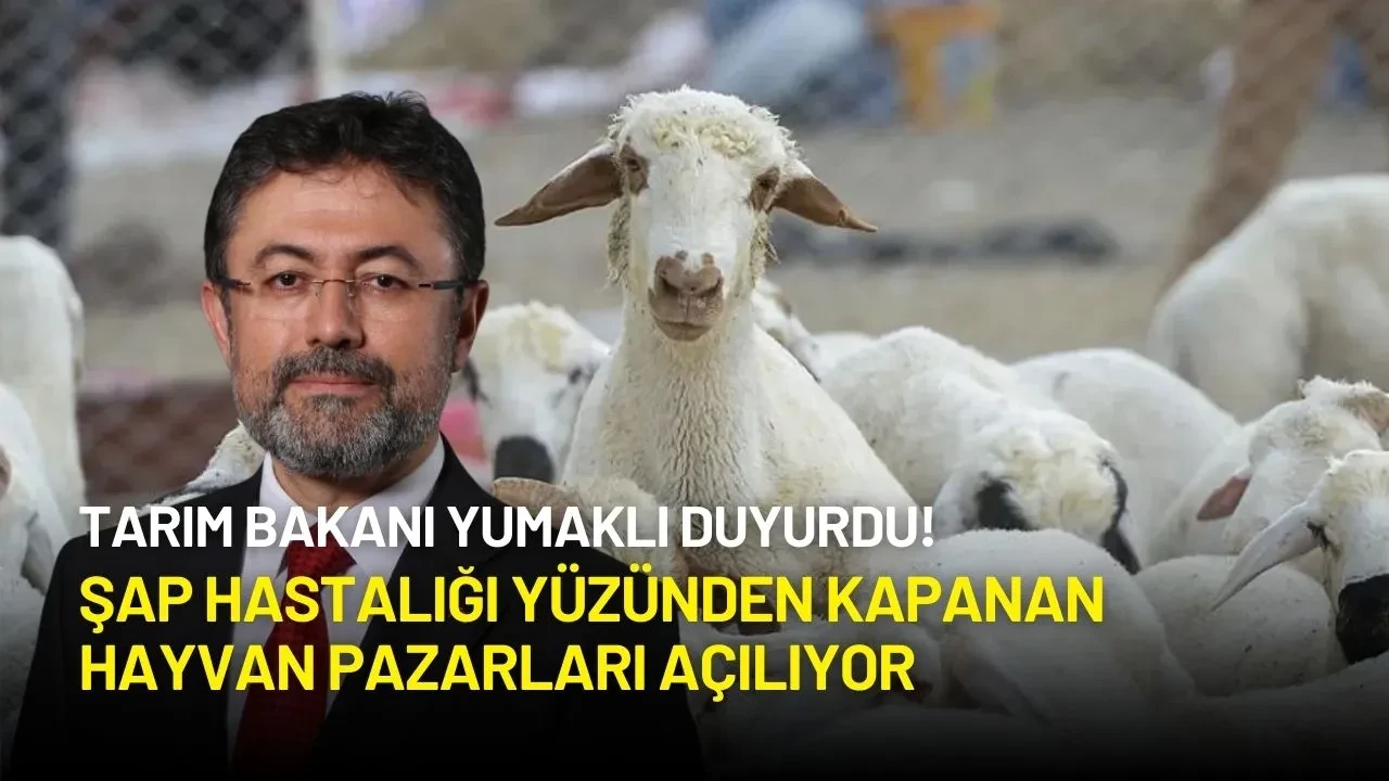 Tarım Bakanı Yumaklı Duyurdu! Şap Hastalığı Yüzünden Kapanan Hayvan Pazarları Açılıyor
